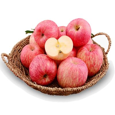 China Good Quality Chinese Red Fresh Fruit Fuji Apple Export Price To Bangladesh for sale