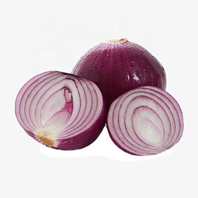 China China fresh fresh red onion for malaysia for sale