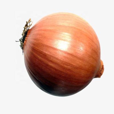 China China Fresh Fresh Onion Wholesale Price From Kuwait for sale