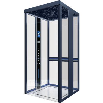 China Modern Customizable Glass Elevator Small Elevator For Sale Residential Lift Outdoor Panoramic Sightseeing Lifts Elevator for sale