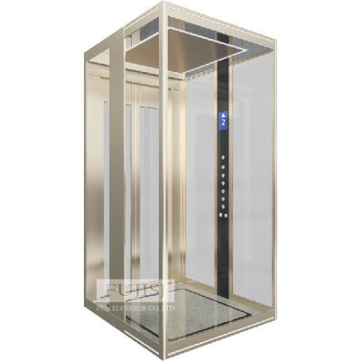 China Modern Glass Elevator Indoor Lift Small House Elevator Lift Villa Lift Residential Elevator Price 1.75m/s 1000kg for sale