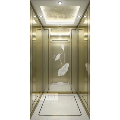 China Modern Champagne Gold Luxury Car Home Ladder Series small home elevator for sale