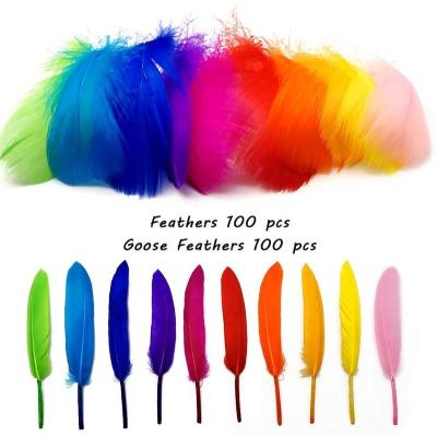 China Durable Goose Feathers Colorful Real Feathers DIY Craft Feathers For School DIY Dreamcatcher Birthday Home Party for sale