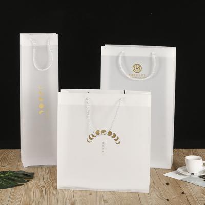 China Customized Shopping Gift Bag Luxury Pet Bag Moisture Proof PVC Transparent Plastic Bag for sale