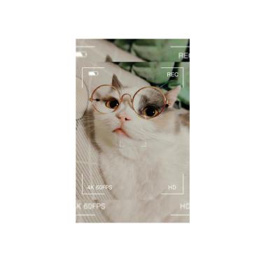 China Fashion Sunglasses Wholesale Flat Round Gradient Pet Sunglasses for sale