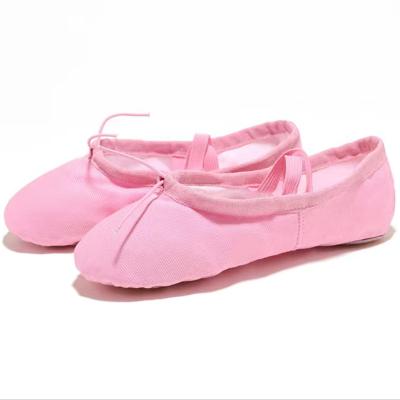 China Women Flat Suede Outsole Folding Ballerina Shoes Roll Up Shoes With Bag Training Dance Shoes for sale