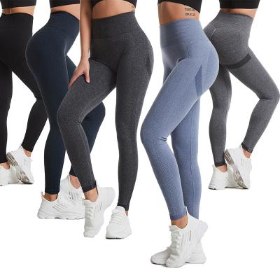 중국 Women Breathable High Waist Compression Scrunching Full Seamless Four Way Squat Gaiters 판매용