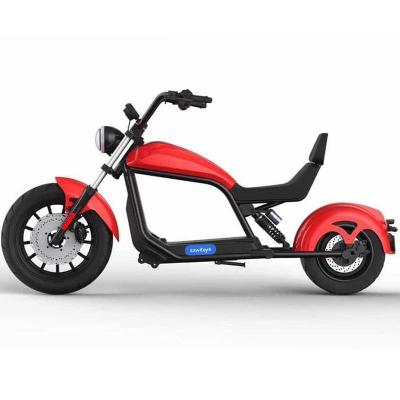 China Unisex EEC approved electric balancing scooter citycoco 2000W 3000W motor oil disc brake citycoco for sale