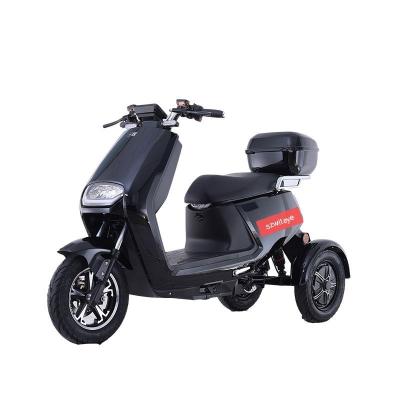 China Aluminum Alloy City Sports Three Wheel Electric Bike Motor Disc Brake Dual Screen Identifier Tricycle Vehicle for sale