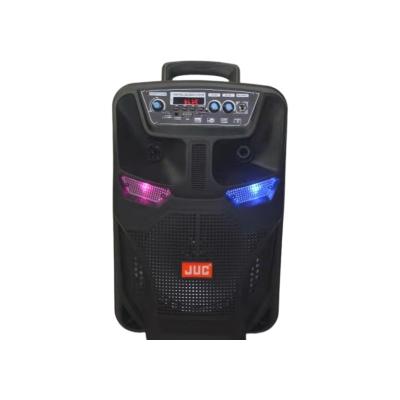 China LED Flashing Light Chinese Manufacture One 8 Inch Speaker With Display Trolley Speaker For Party for sale