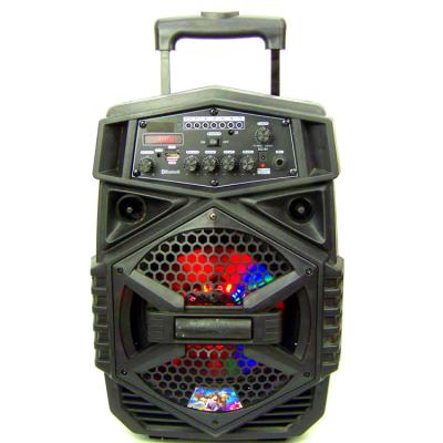 China LED Flashing Light 2022 Mode Selling 25w Portable Trolley Speaker With Lights And Radio for sale