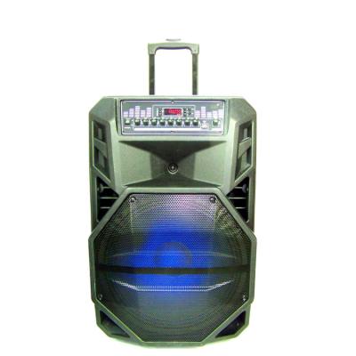 China 15 Inch Plastic Bass Led Portable Speakers Karaoke Speaker For Home Party for sale