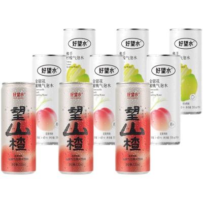 China Wholesale Daily Life China Good Hope Sparkling Water Hawthorn Juice Drinks for sale