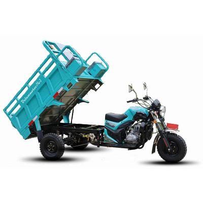 China High Quality Cargo Motorcycle 200cc Tricycle 3 Wheel Cargo For Adult Body Spring Gold Car Box Frame Power Battery Motor Steel Plate for sale