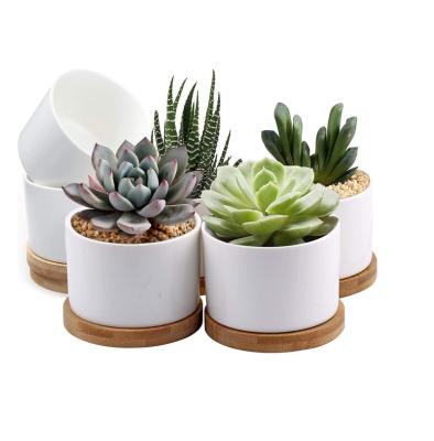 China Wooden White Ceramic Indoor Home Decoration Tray Flower and Drainage Hole Pot Succulent Planter Pots with Bamboo Tray for sale