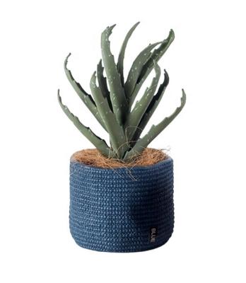 China Vintage Unglazed Medium Indoor Plants Contemporary Containers Bonsai Plants With Drain Hole Cement Succulent Pots for sale