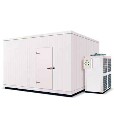 China Hotel; supermarket; Custom restaurant ect Tianyin large size cold room food freezer for sale