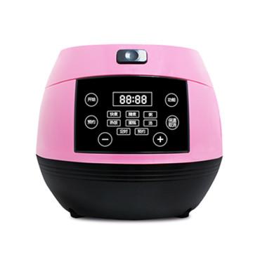 China Hot Sale National Hotel Home Appliances Luxury Intelligent Electric Multi Rice Cooker for sale