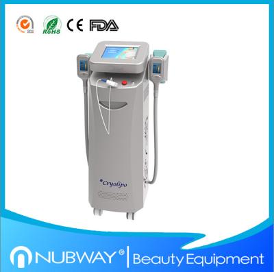 China Advanced 2 handles Cryolipolysis slimming device for Beauty Salon/Spa/Clinic for sale