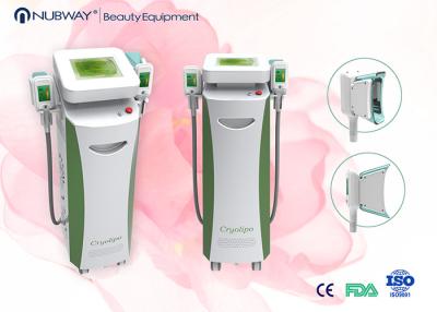 China Hot 2 handles cryolipolysis fat freeze slimming machine for whole body slimming for spa for sale