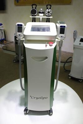 China Beauty Machine 3 in 1 Cryolipolysis Fat Freezing Cavitaion RF Weight Loss Machine for sale