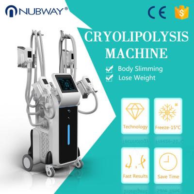 China kryolipolyse cool tech slimming machine fat freeze cryolipolysis weight loss machine for sale