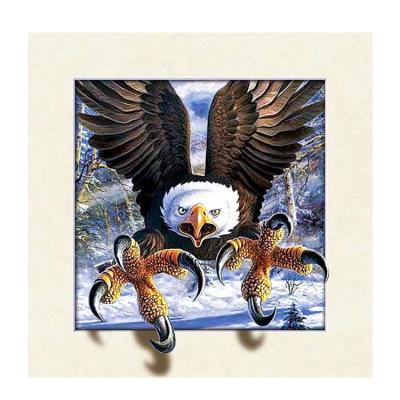 China 3D Zebulun 3D Customized Wall Painting PET 40*40cm 5D Lenticular Eagle Poster Painting For Craft Gifts for sale