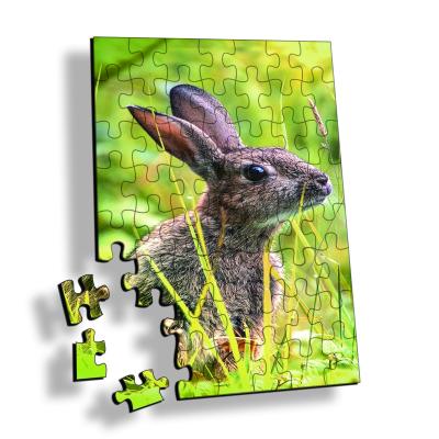 China 3D lenticular printing custom 5D and 3D jigsaw puzzle for promotion gift or souvenir for sale