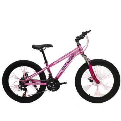 China steel bicycles factory made steel bicycle mountain bike 21 speed mountain bike for sale for sale