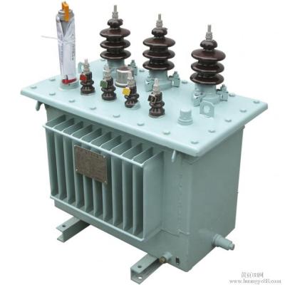 China 11kv 415v 50kva 63kva 80kva 100 Kva160kva Power Power Outdoor Distribution Transformers for sale