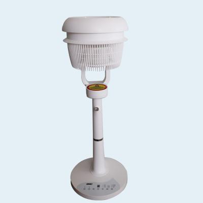 China Can add water base portable air support household electric fan circulator and aromatherapy DC electric fan for sale