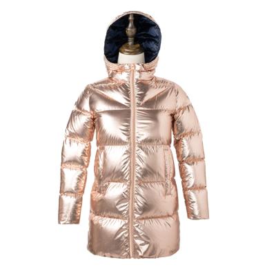 China 2021 New Fashion Women Jackets And Coats Winter Breathable Hooded Jackets Warm For Ladies Bomber Jackets for sale