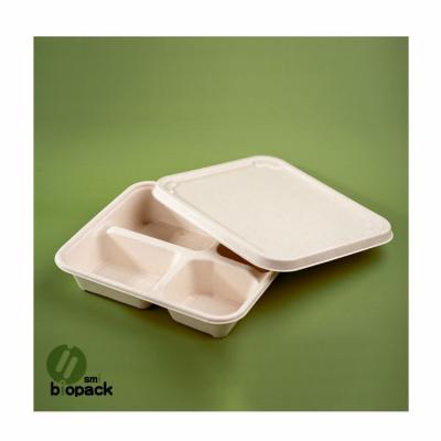 China Modern Bagasse Bento Tray Tableware With Sugarcane Biodegradable Disposable Lid for sale