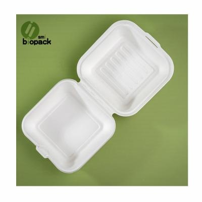 China 100% Bagasse Biodegradable Disposable Food Packing Tableware Square Environmental Friendly Lunch Box Modern Promotion for sale