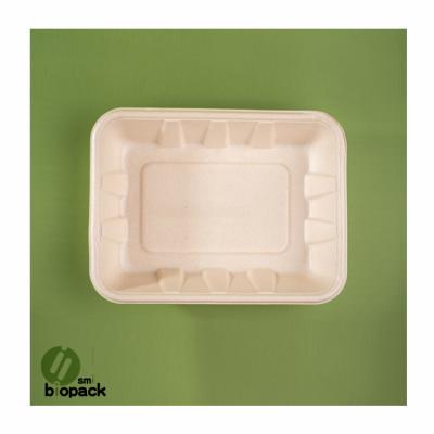 China Modern Disposable Food Packaging Tray Environmentally Friendly Biodegradable Square Food Tray Disposable Tableware for sale