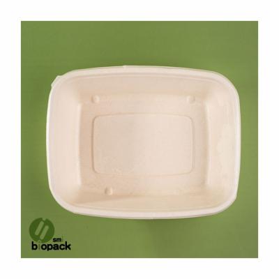 China Modern Rectangular Sugarcane Bagasse Food Tray Biodegradable Disposable For Meat Vegetable for sale