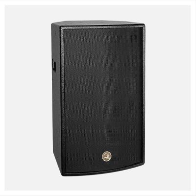 China 15 inch passive spseaker club full range speaker portable karaoke machine TP-151 for sale