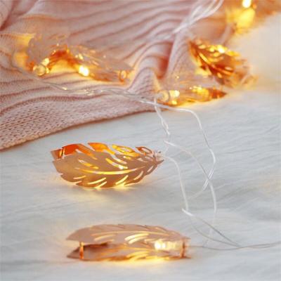 China New Type New Eco - Friendly Fixture Decoration Christmas Curtain Sale Pit Lights for sale