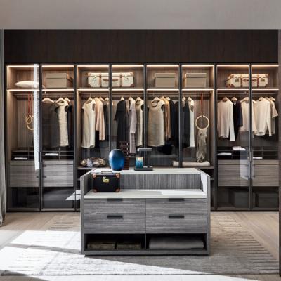 China Modern Modern Walk In Glass Door Design Wardrobe Cloakroom Wardrobe Door Master Room Cabinet Hotel Furniture Hotel Staff for sale