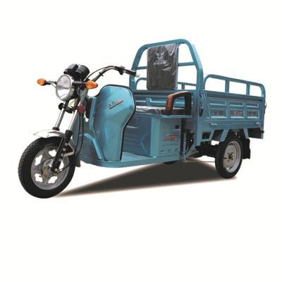 China Cargo 2 Seat 3 Wheel Electric Tricycle For Cargo Delivery 60V 1000W Three Wheel Tricycle China for sale