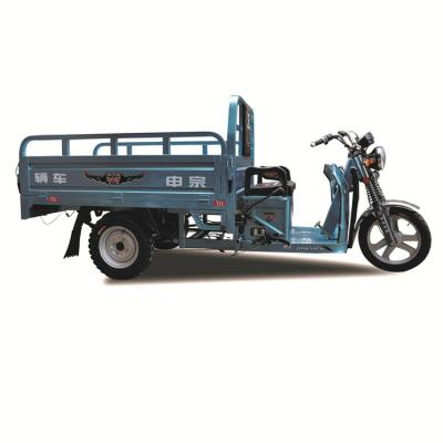 China New China Supplier Electric Cargo Tricycle Electric Tricycle For Adults for sale