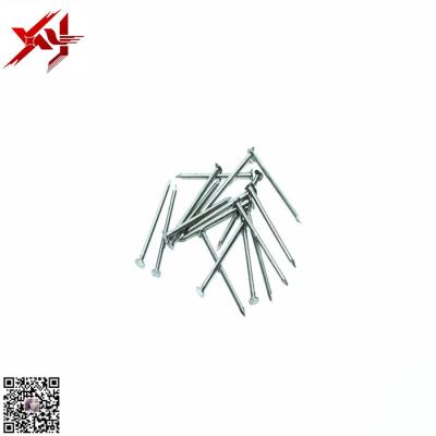 China Iron 2-1/2 Inch 1kg Bag Bright Flat Head Common Iron Wire Nails for sale