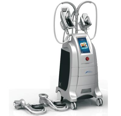 China 4 Handpieces fettes einfrierendes Cryolipolysis zu verkaufen