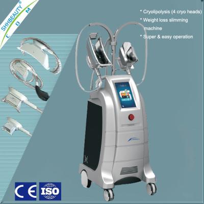 China Het verticale Vette Bevriezen Cryolipolysis Te koop