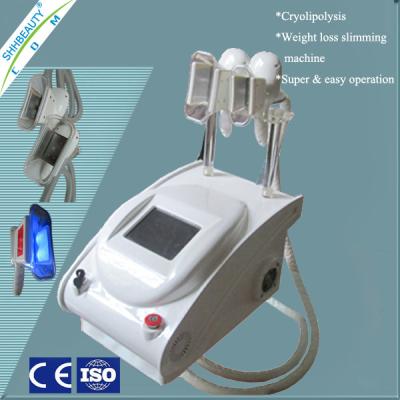 China Weißer fetter einfrierender Cryolipolysis Körper SH245B, der Maschine ABS-Material abnimmt zu verkaufen