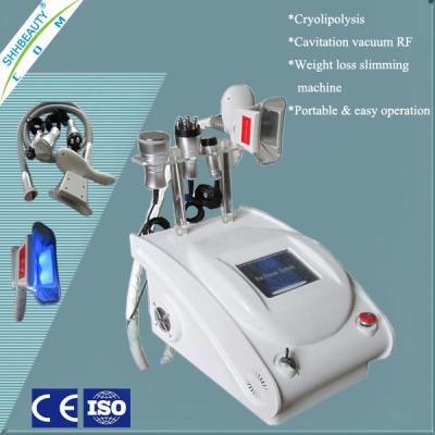 China ABS Cryolipolysis de congelação gordo à venda