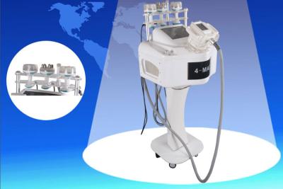 Chine Corps SH-016 blanc amincissant velashape du laser V10 du vide rf de cavitation de machine le BIO à vendre