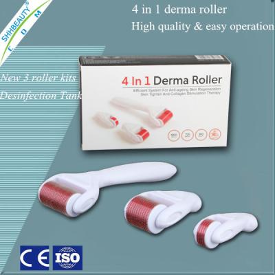 China Microneedle Therapy Skin Care Device , Medical 4 In 1 Derma Roller Pen for sale