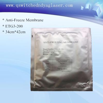 Cina Cuscinetto grandi 34 x 42cm del gel della membrana dell'antigelo di trattamento di Cryolipolysis in vendita