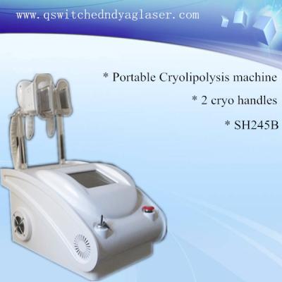 China Dispositivo gordo do gelo do uso home portátil, equipamento do emagrecimento do corpo de Cryolipolysis à venda